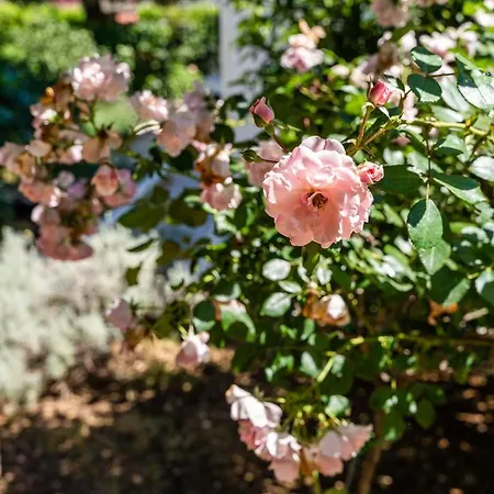 Lapad Apartamento Dubrovnik