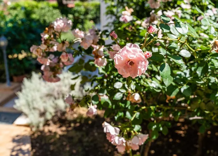 Studio Lapad Appartamento Ragusa